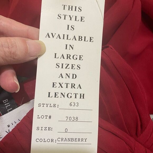 Bill Levkoff Style 633 Cranberry Red Chiffon Pleated  Bodice Flowing Maxi Gown - Picture 11 of 16